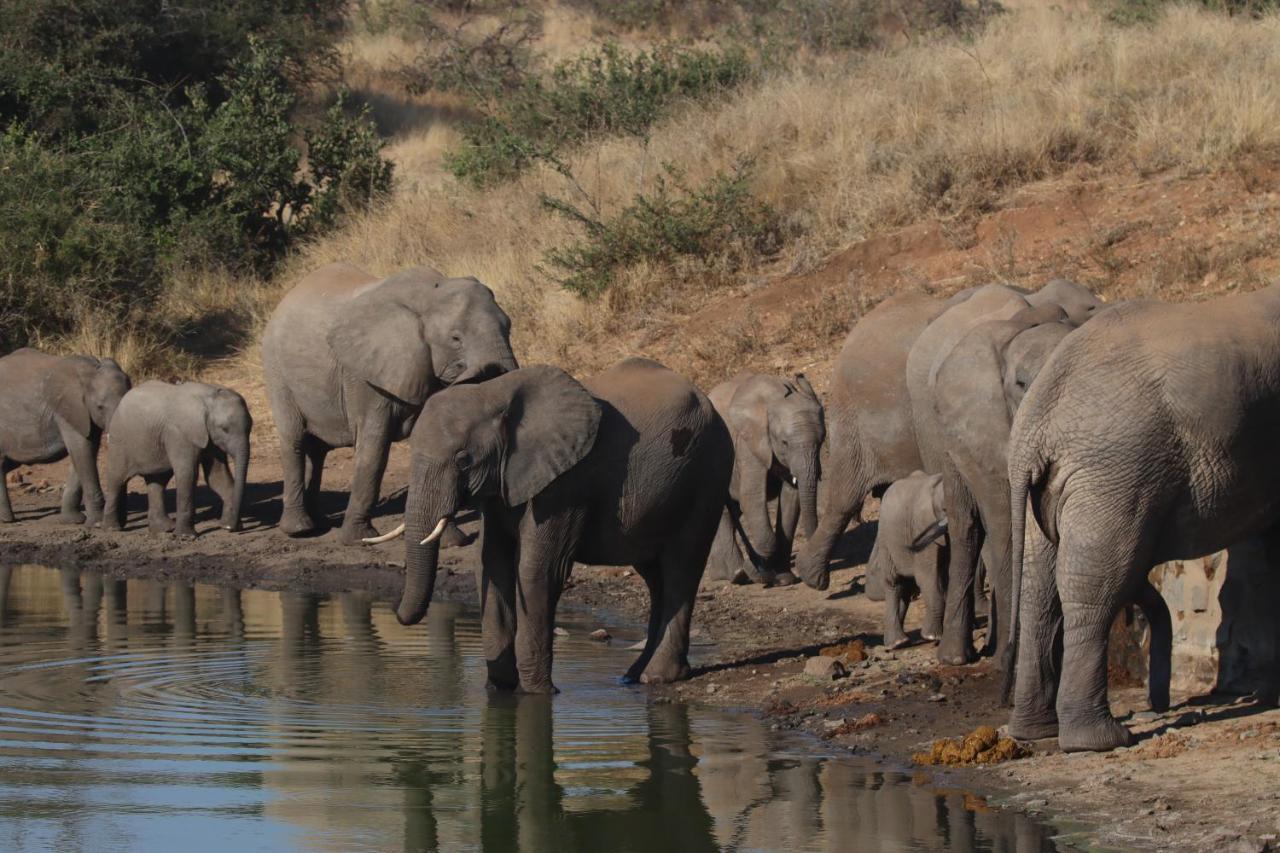 Ku Sungula Safari Lodge Balule Game Reserve Bagian luar foto