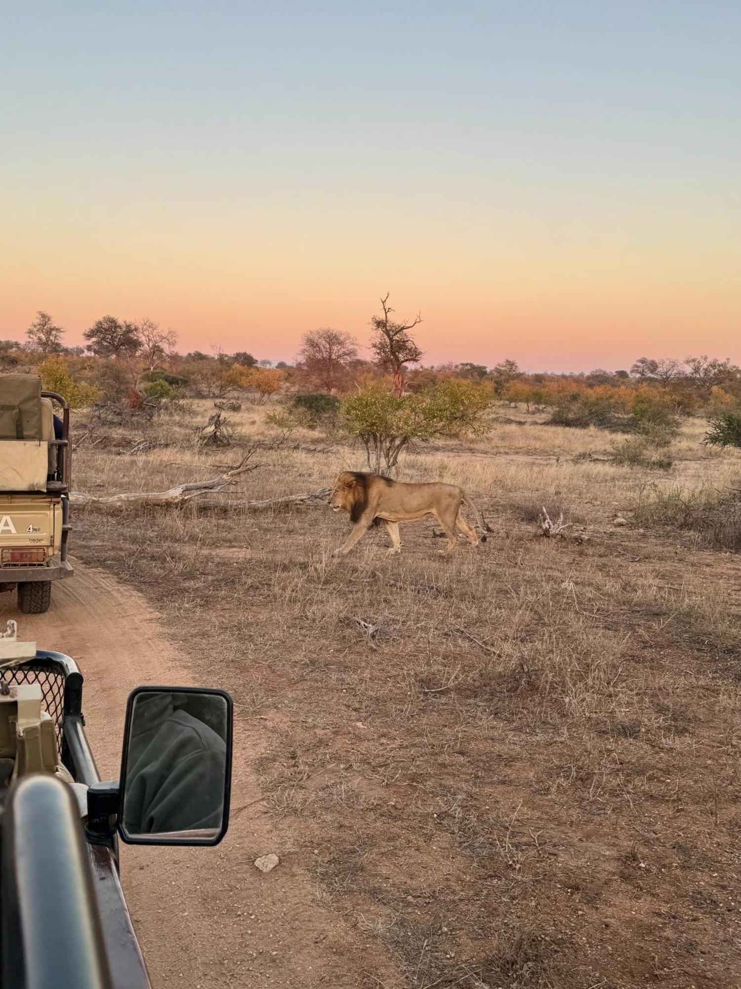 Ku Sungula Safari Lodge Balule Game Reserve Bagian luar foto