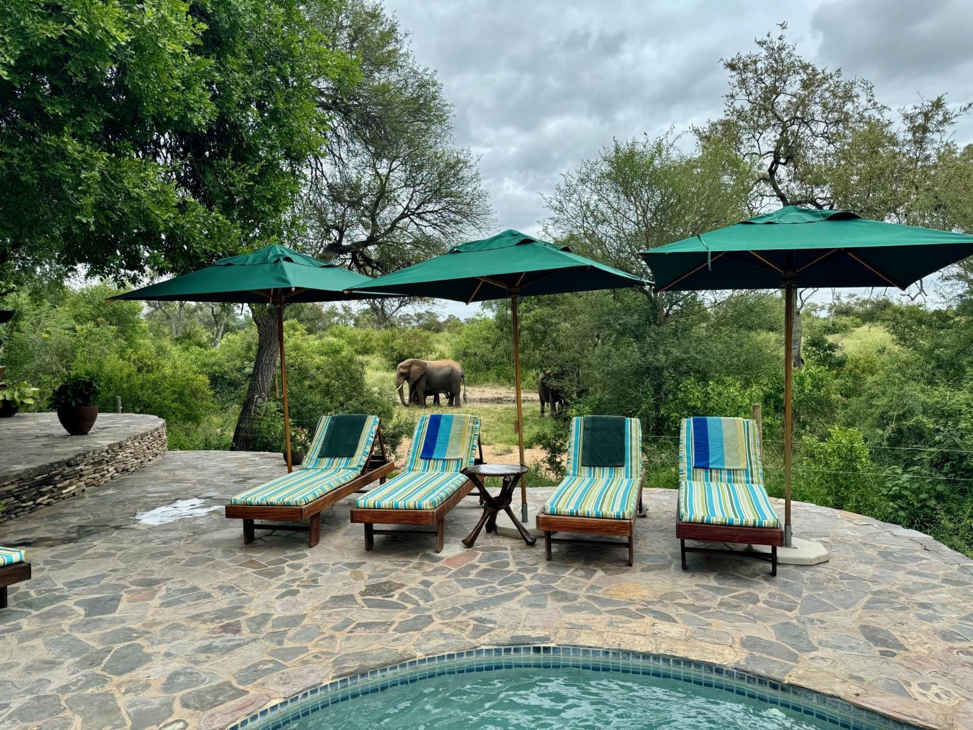 Ku Sungula Safari Lodge Balule Game Reserve Bagian luar foto