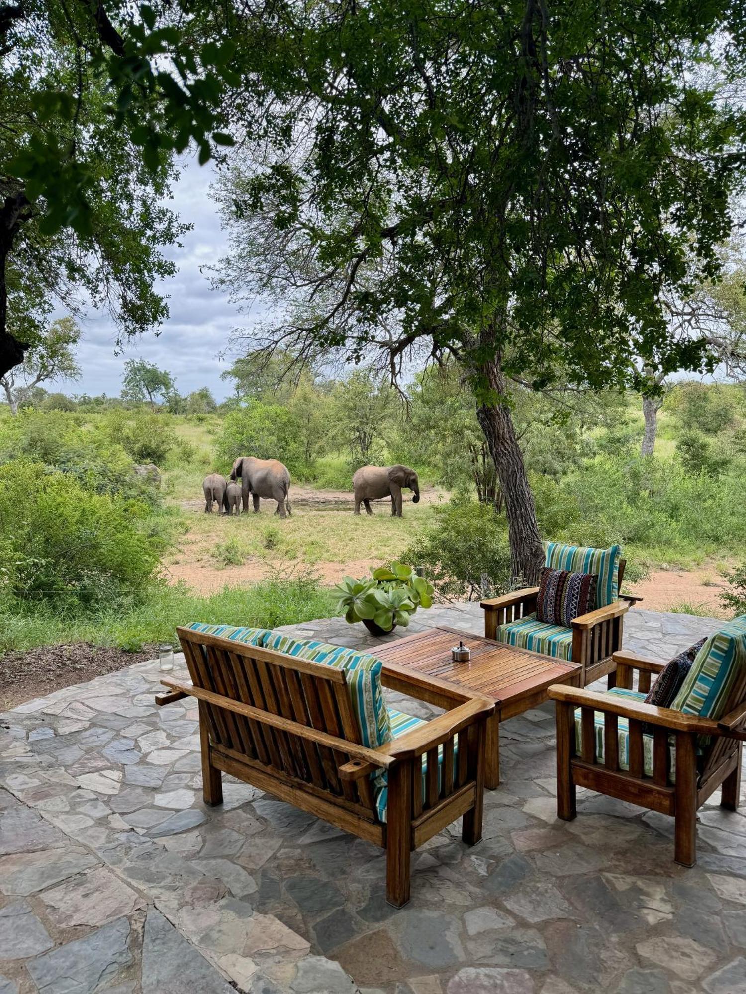 Ku Sungula Safari Lodge Balule Game Reserve Bagian luar foto