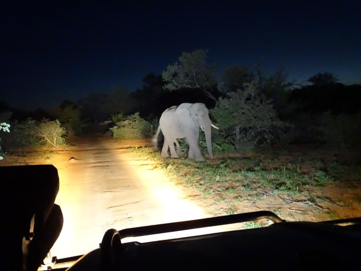 Ku Sungula Safari Lodge Balule Game Reserve Bagian luar foto