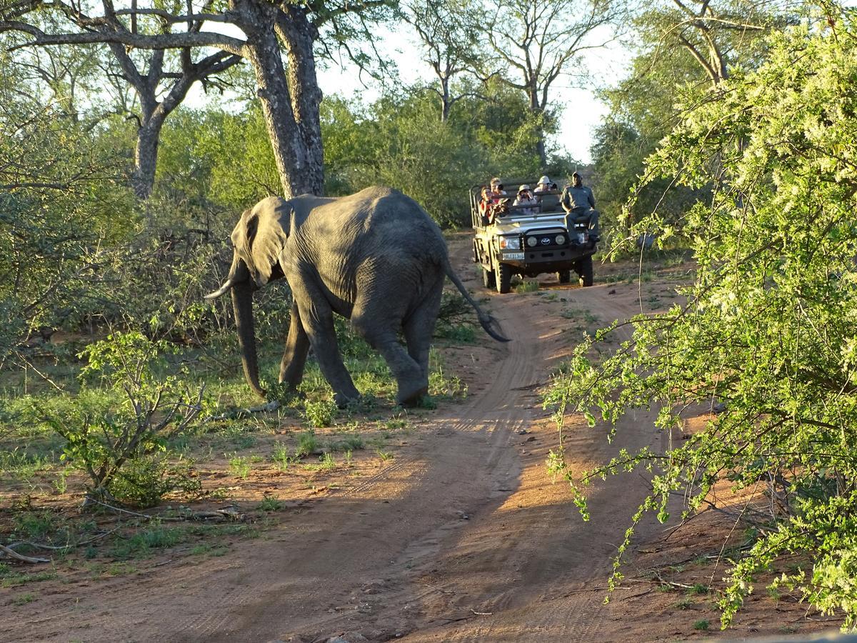 Ku Sungula Safari Lodge Balule Game Reserve Bagian luar foto