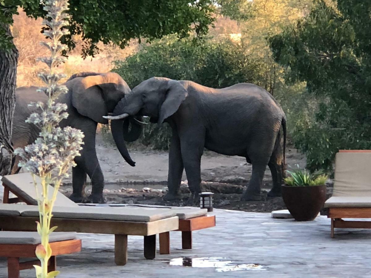 Ku Sungula Safari Lodge Balule Game Reserve Bagian luar foto